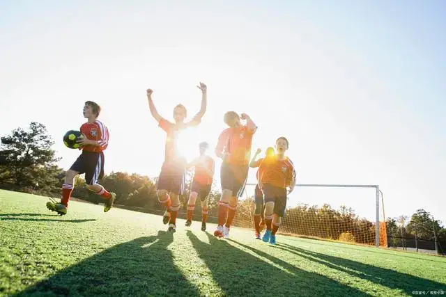 足球欧洲杯再次确认扩军，球队数量达32支